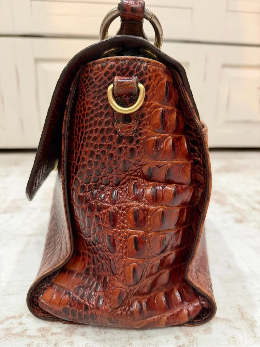 Brahmin beautiful highly